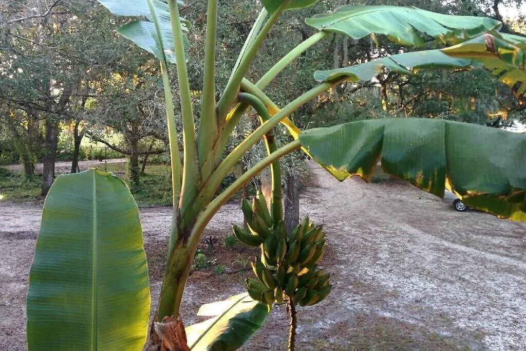 Holiday home º Tropical Escape º Experience Florida Up-close!