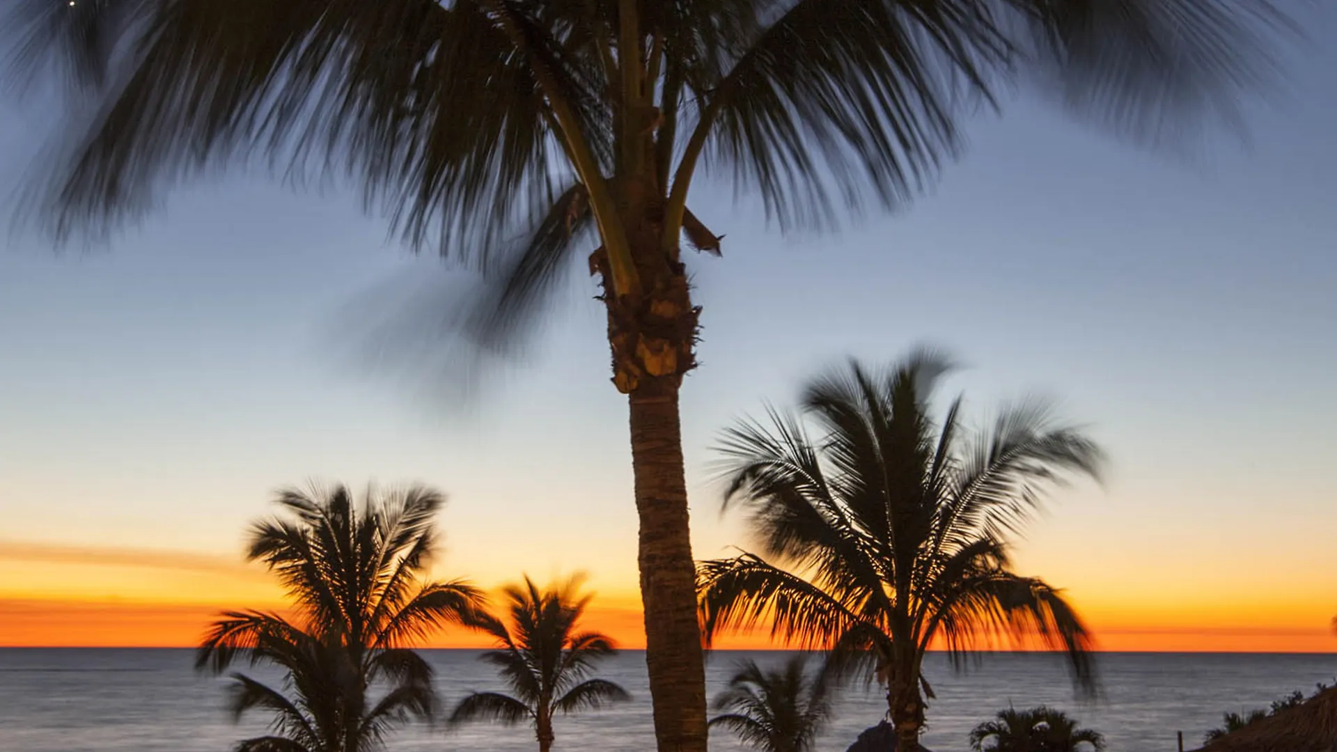 Lido - Resort Sarasota