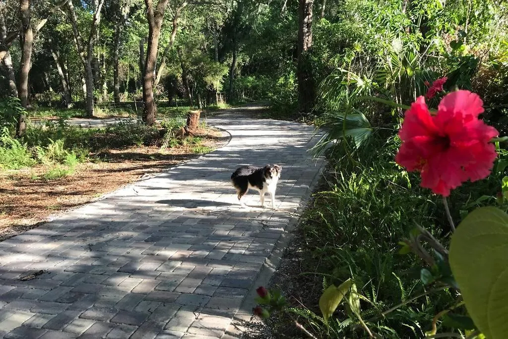 º Tropical Escape º Experience Florida Up-close! Feriehus *
