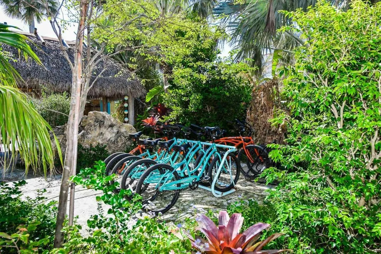 Tropical Breeze Apartahotel