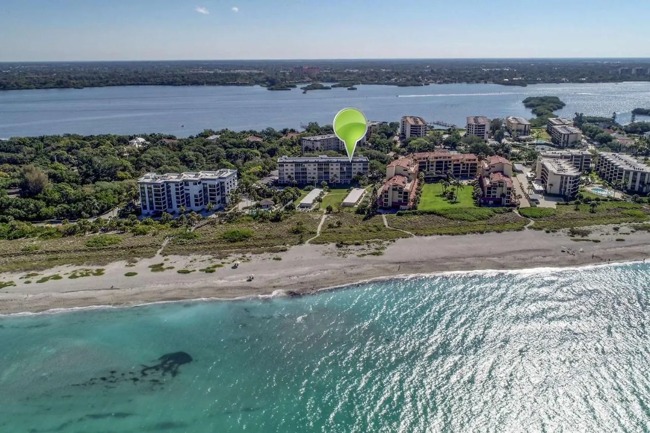 Bay Tree Side Sarasota