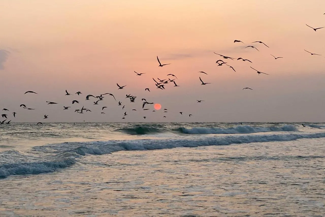 Bright Coastal Walk To Lido Key Beach!