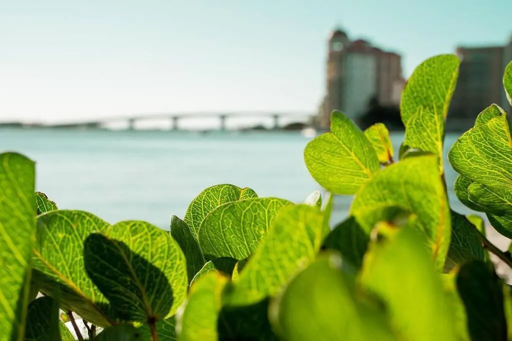 Cosmopolitan Suite, Centrally Located To Downtown And The Beach. * Sarasota