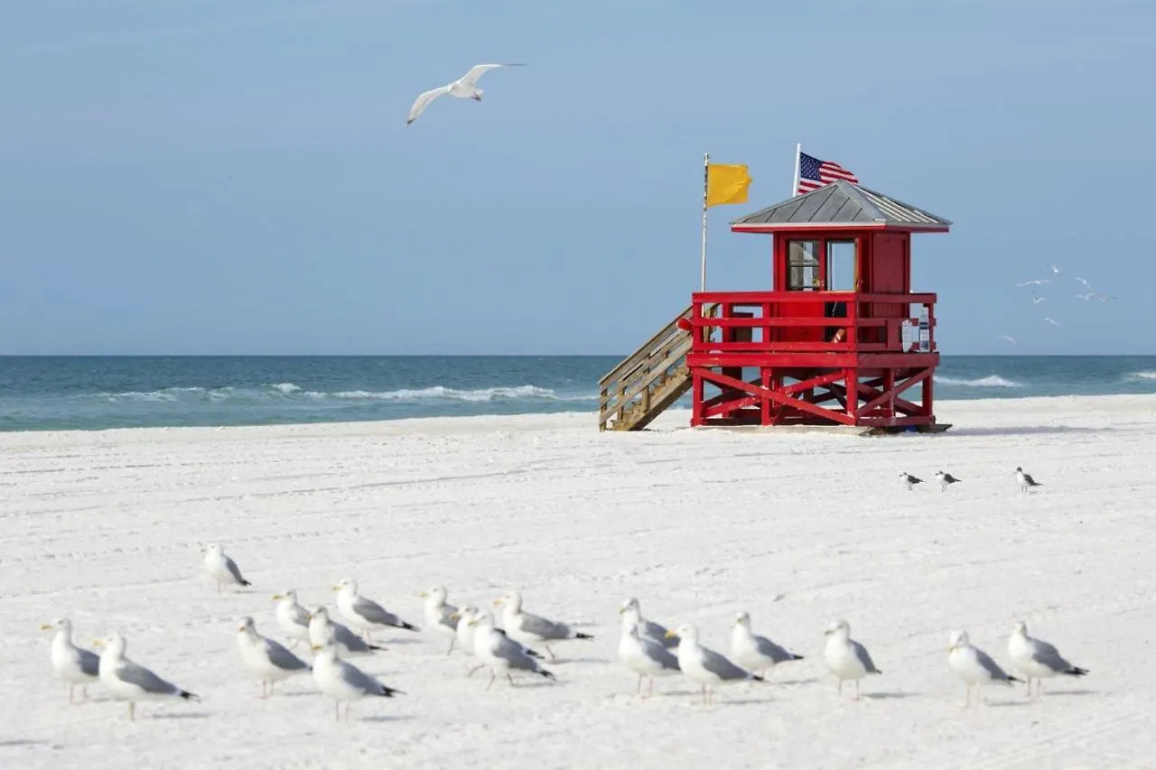 Crystal Sands & Dreams