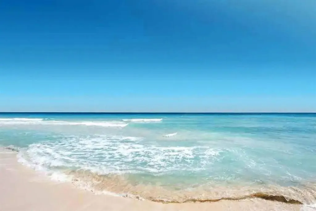 Charming Unit Across From Lido Key Apartment Sarasota