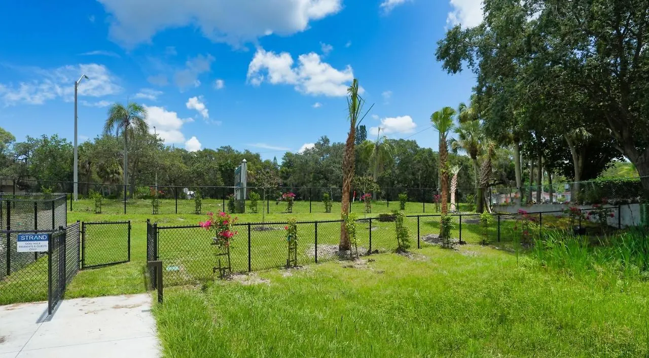 All-new, Waterfront In Downtown Sarasota!