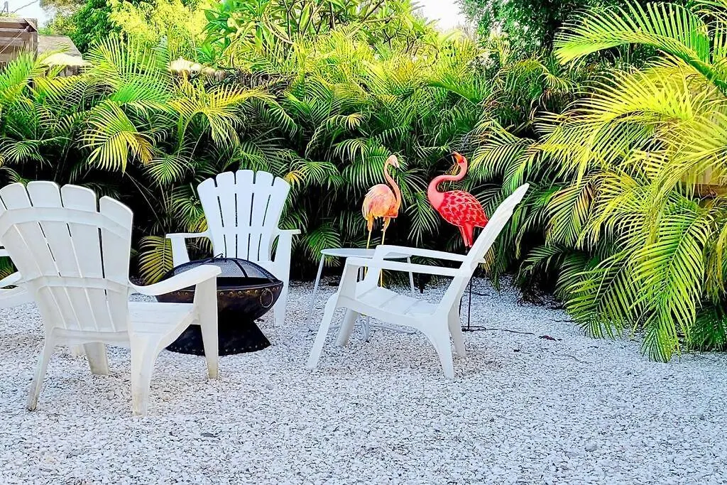 The Pink Flamingo Mid Century Heated Pool Paradise *