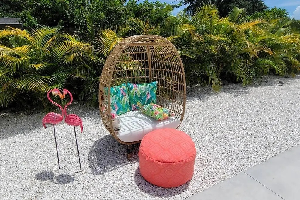 The Pink Flamingo Mid Century Heated Pool Paradise *