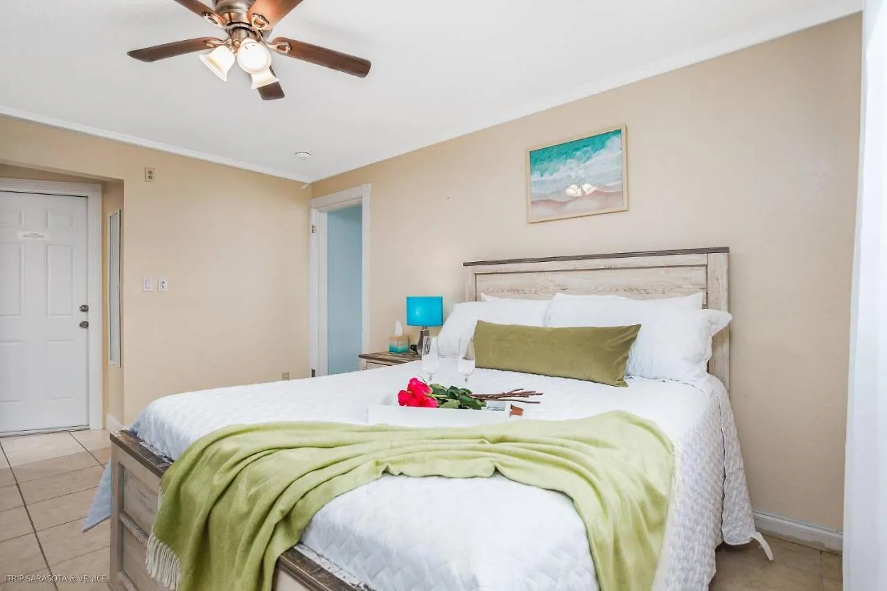 Coastal Breeze Siesta Dolphin 