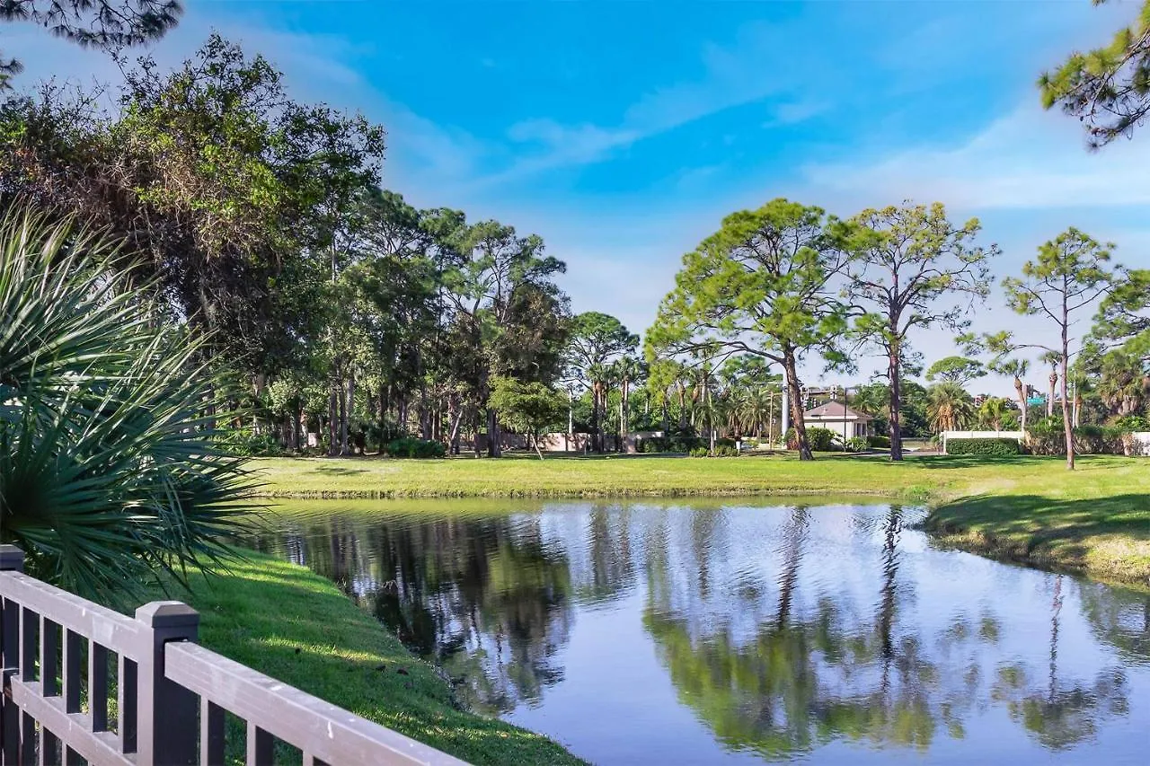 Yellow Pine * Sarasota