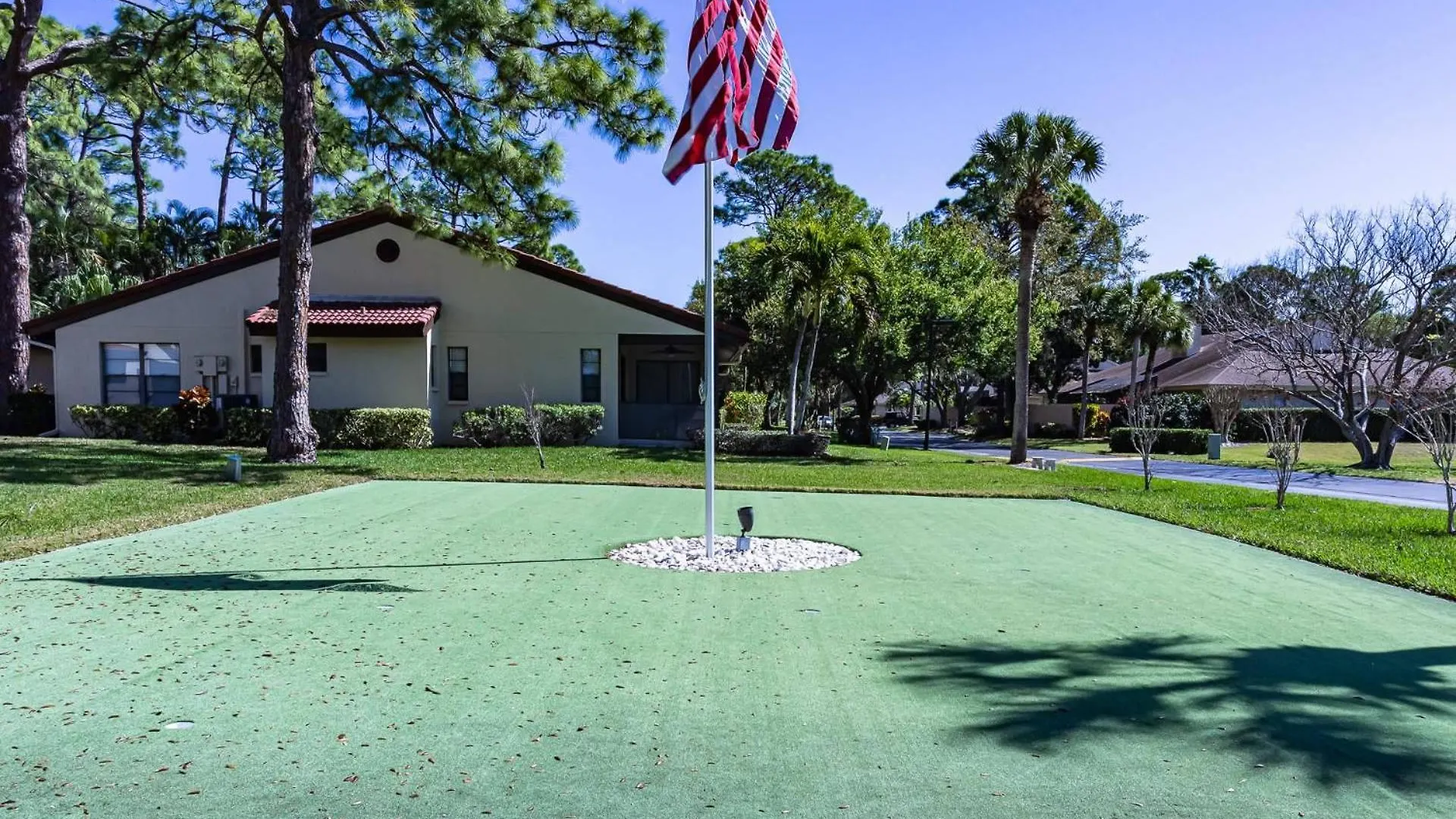 Yellow Pine Sarasota