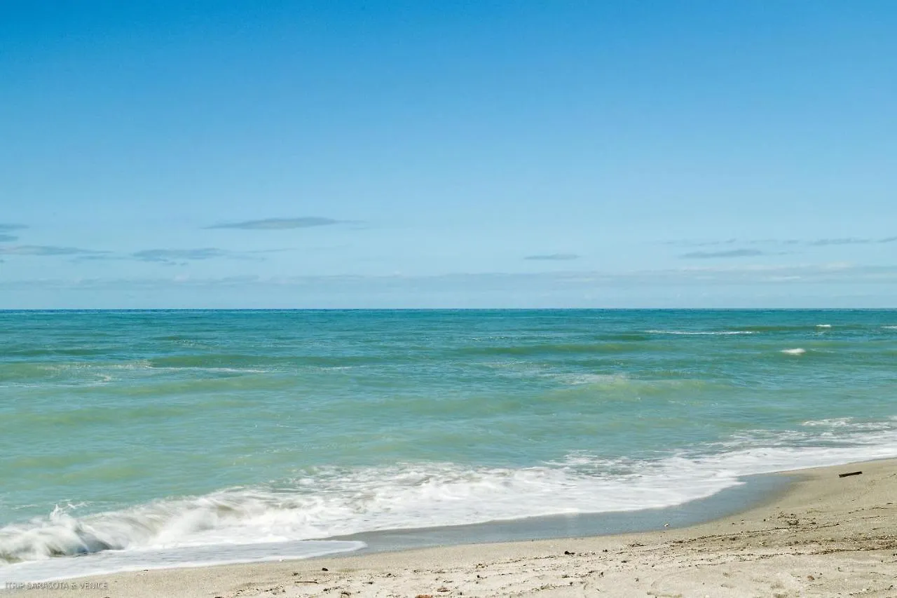 Coastal Breeze Siesta Turtle 