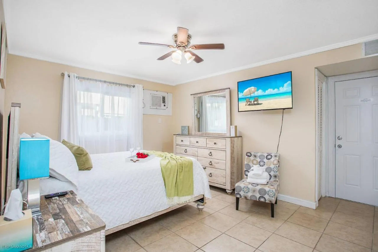 Coastal Breeze Siesta Dolphin 