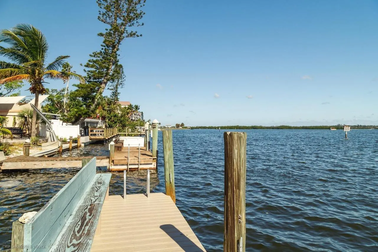 Coastal Breeze Siesta Dolphin 