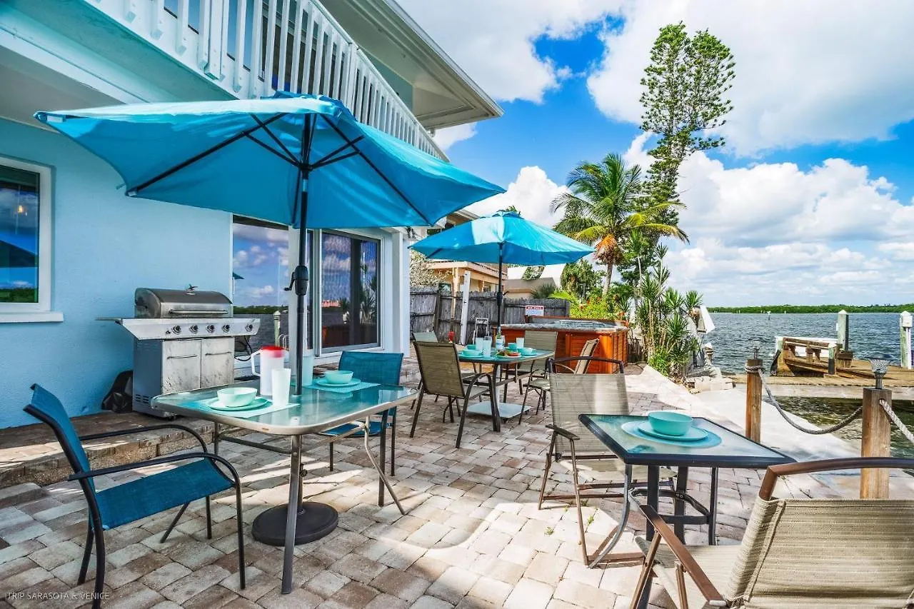 Coastal Breeze Siesta Dolphin 