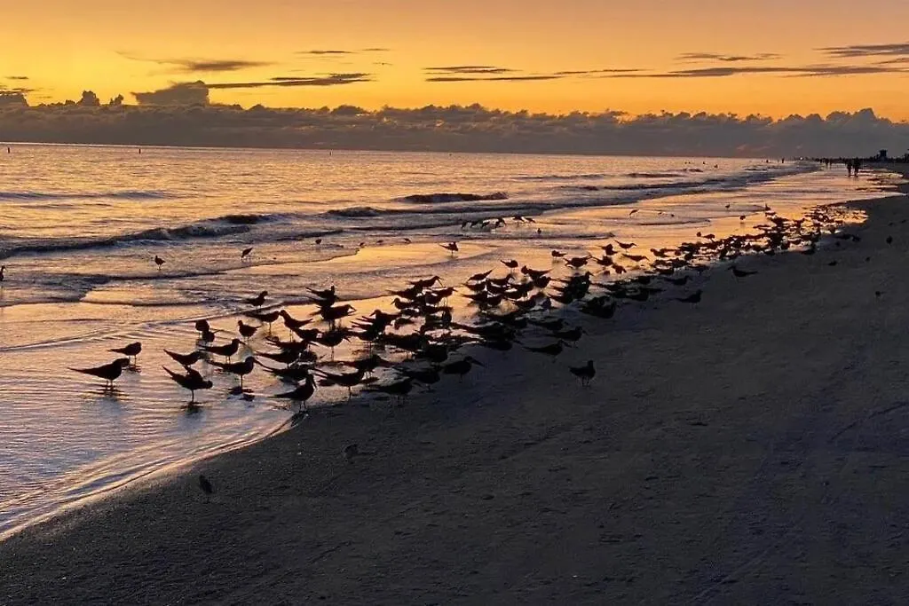 Beach-town Pet-friendly Downtown @ 10 Acre Park-629 * Sarasota
