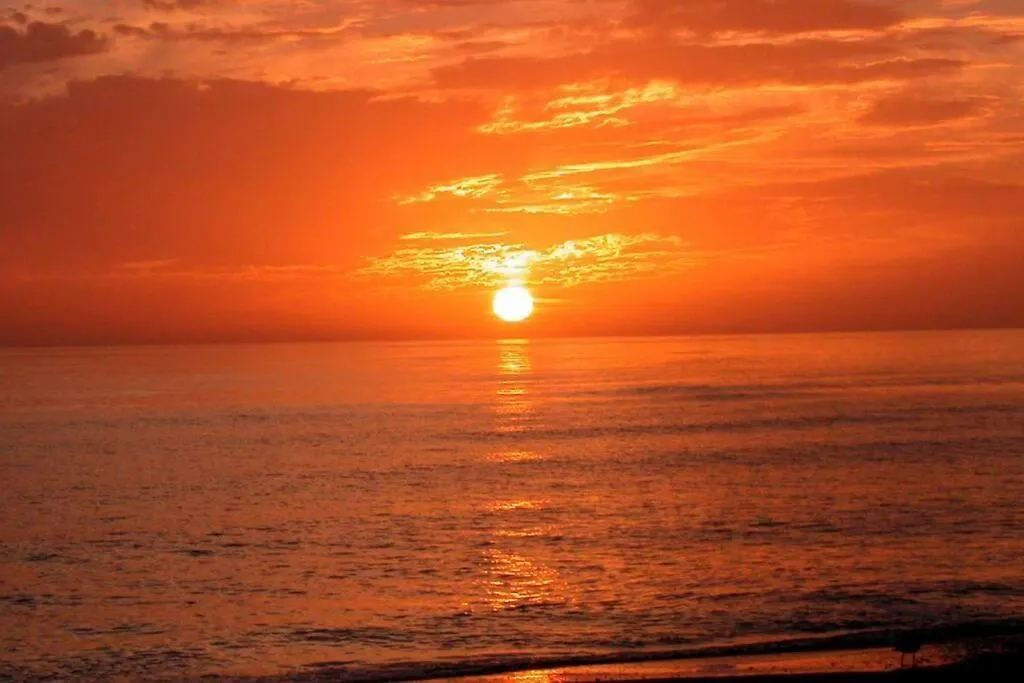 Close To Siesta Key, Shopping, Restaurants & More! Apartment *