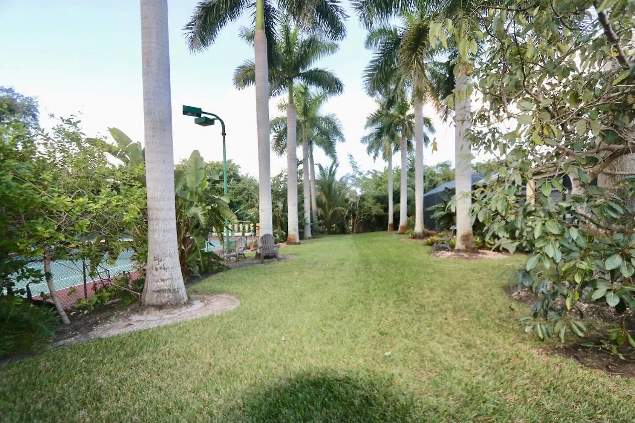 Tranquil Court Oasis