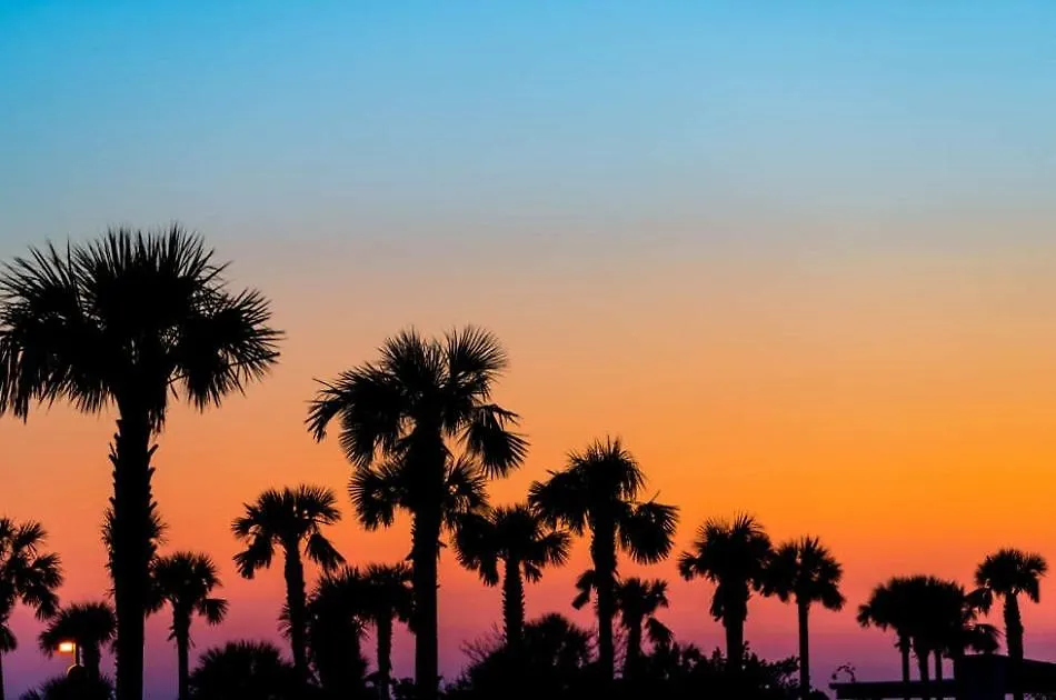 Siesta Key - 3 Bed 3 Baths Sarasota