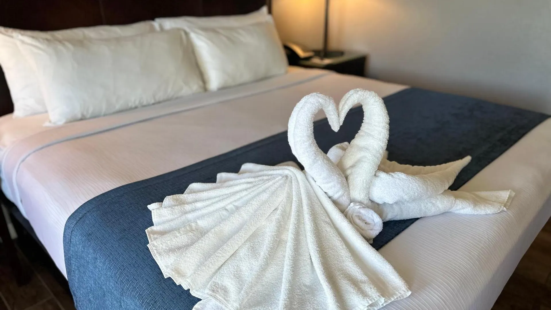 Lantern & - Sarasota