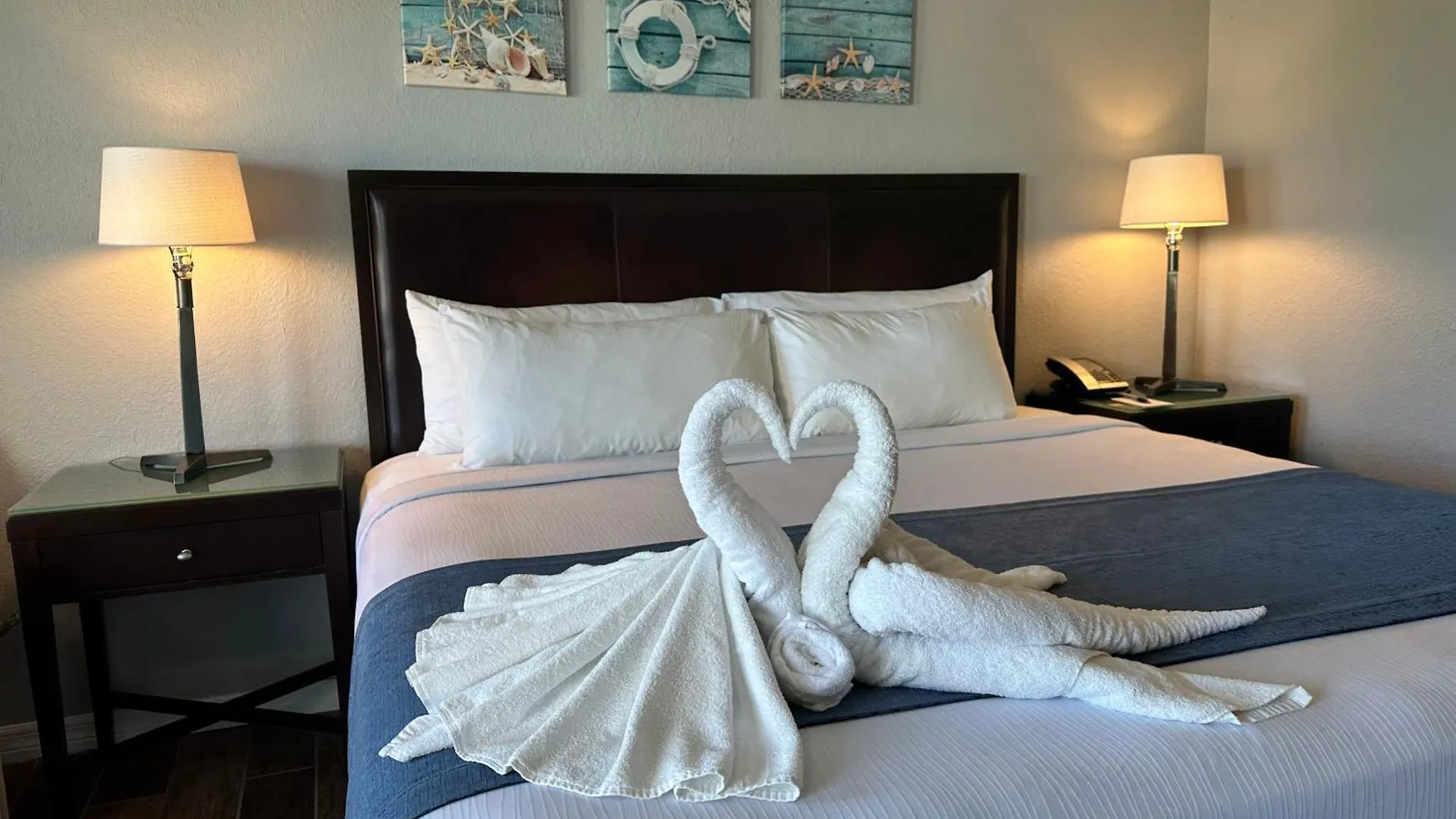 Lantern & - Sarasota