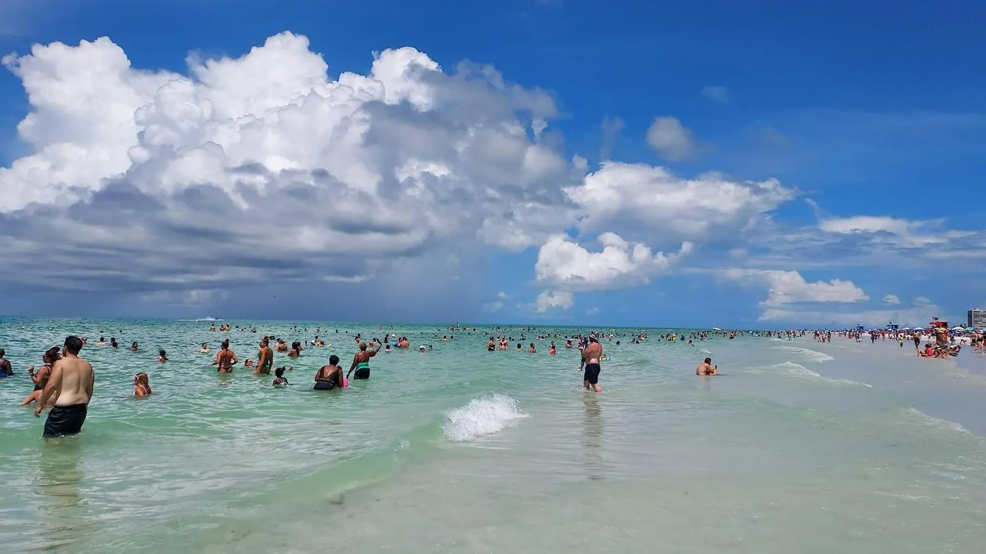 Paradise Heated Pool Near Img & Siesta Key