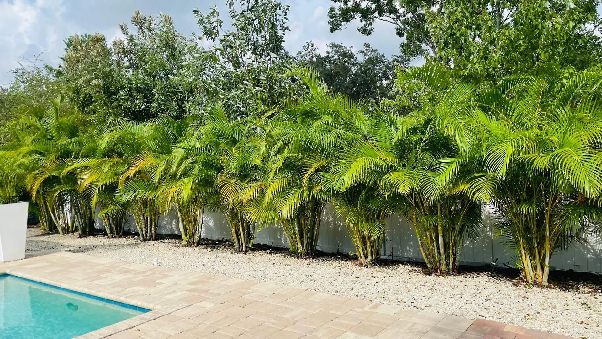 Paradise Heated Pool Near Img & Siesta Key * Sarasota
