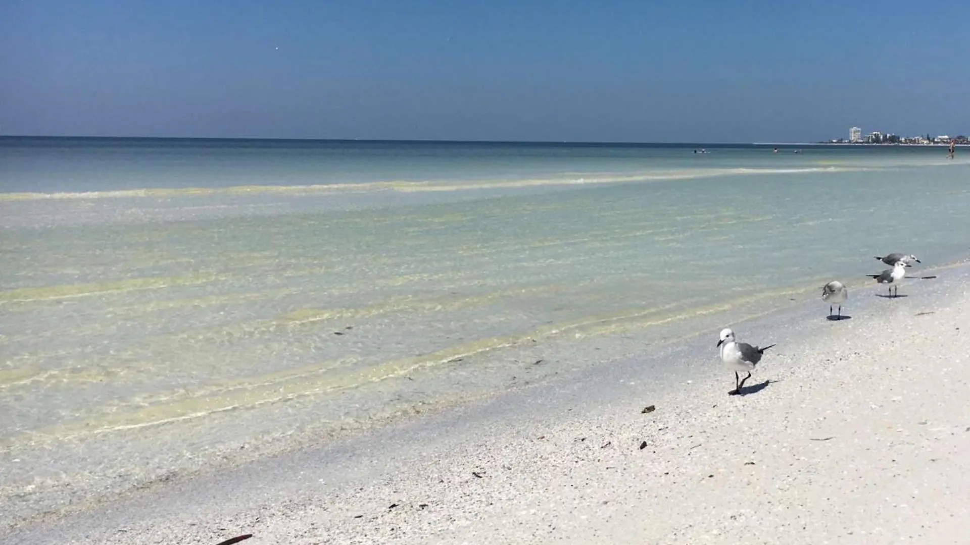 Crystal Sands & Dreams *