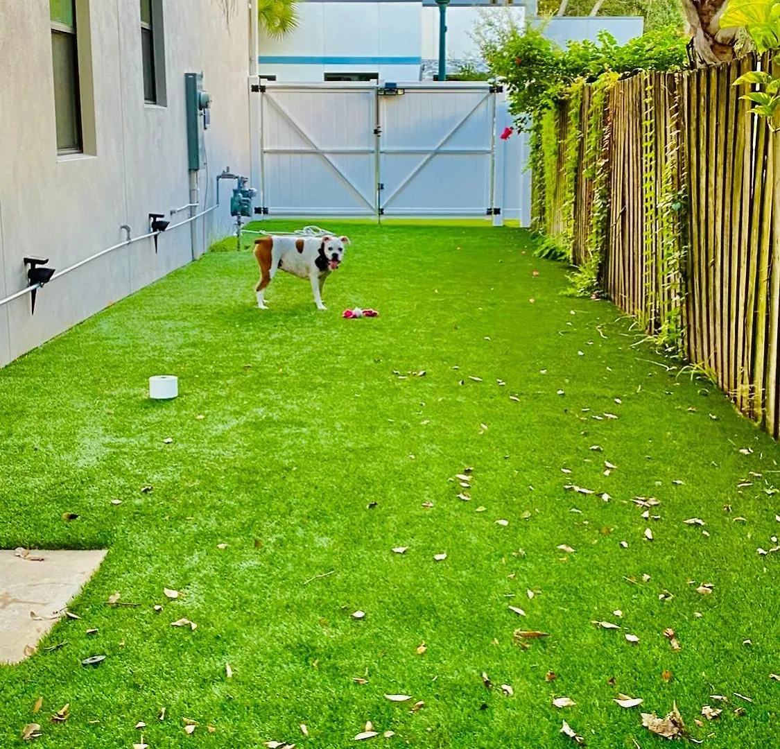 Downtown Pet-friendly @ The Park Home-635 Holiday home *