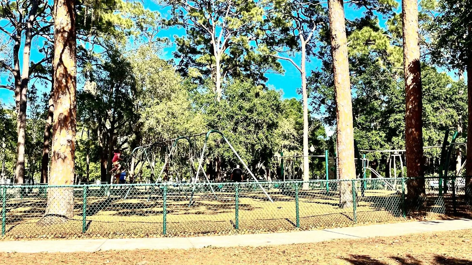 Beach-town Pet-friendly Downtown @ 10 Acre Park-629 Holiday home Sarasota