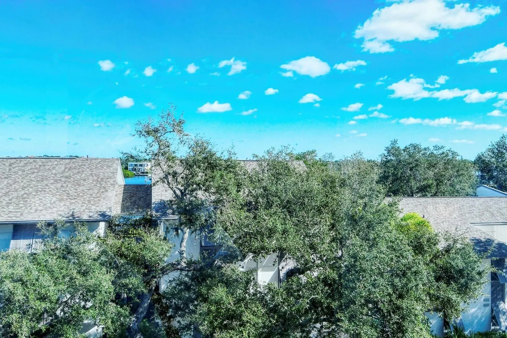 1255-305 Picturesque Garden Views * Sarasota
