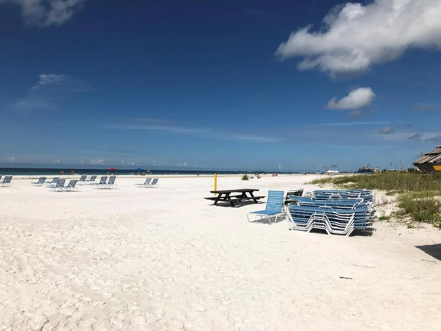 1134 Pl Cozy And Serene Garden Gem * Sarasota