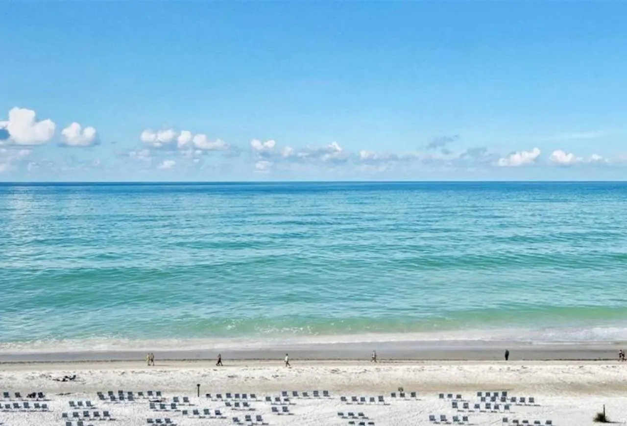 1080-807 Spectacular View * Sarasota