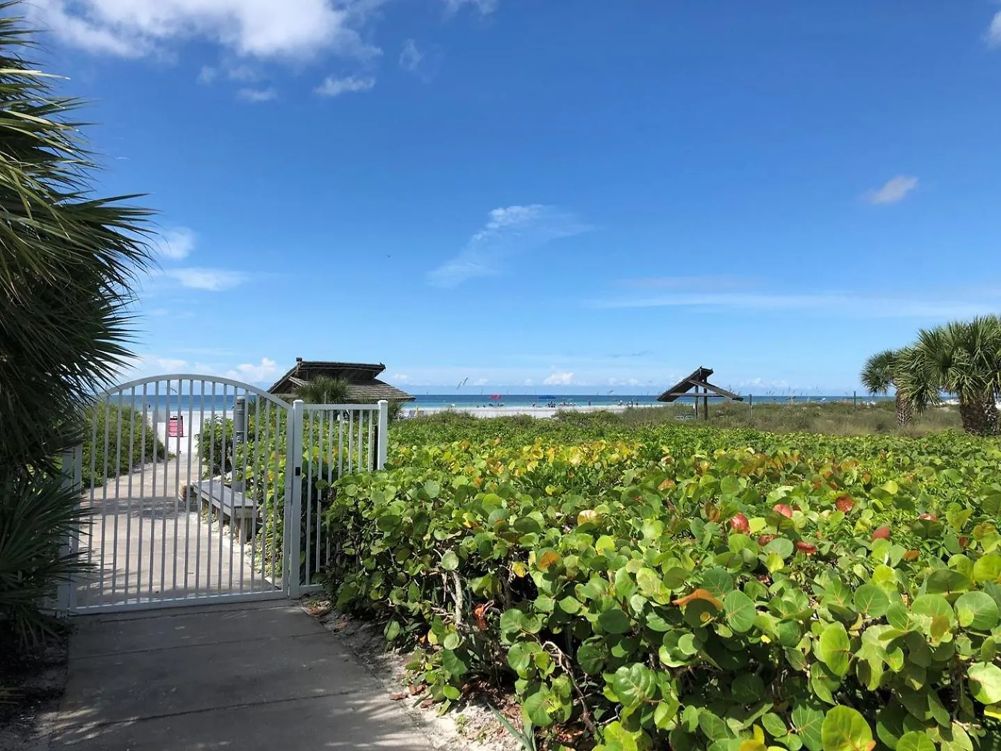 1125-707 7th Floor Garden Retreat Holiday home