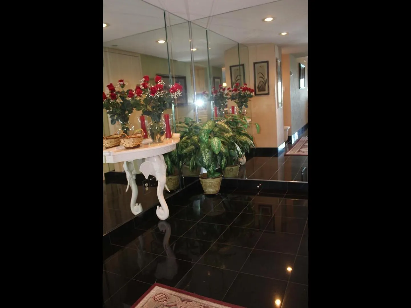 1055-803 Stunning View Oasis * Sarasota