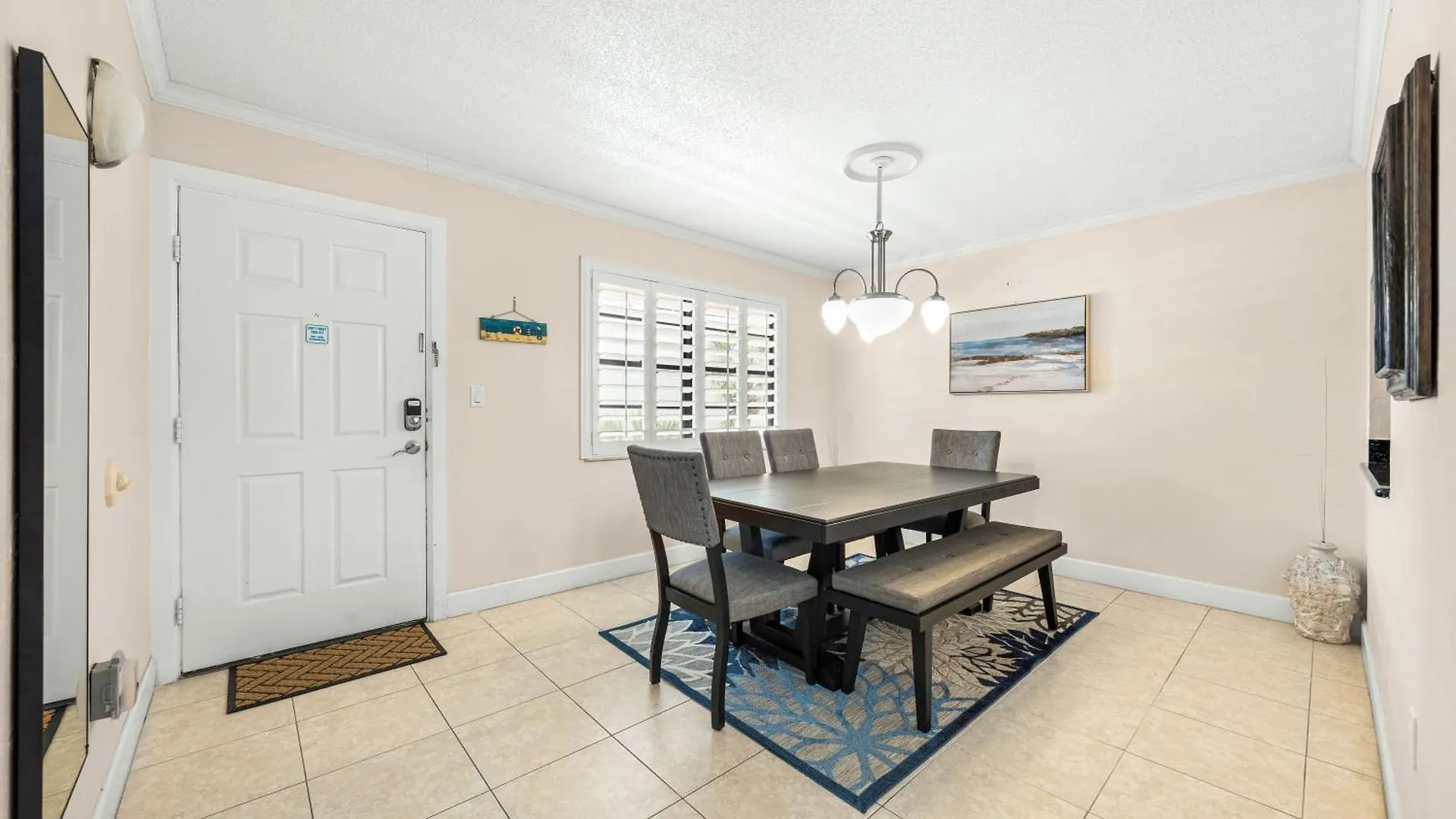 Sea Shell Sarasota