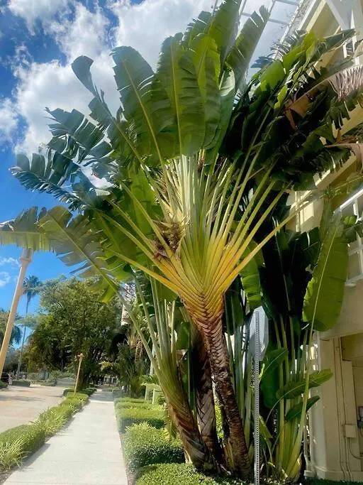 Villa Sunshine /siesta Key/vacation *