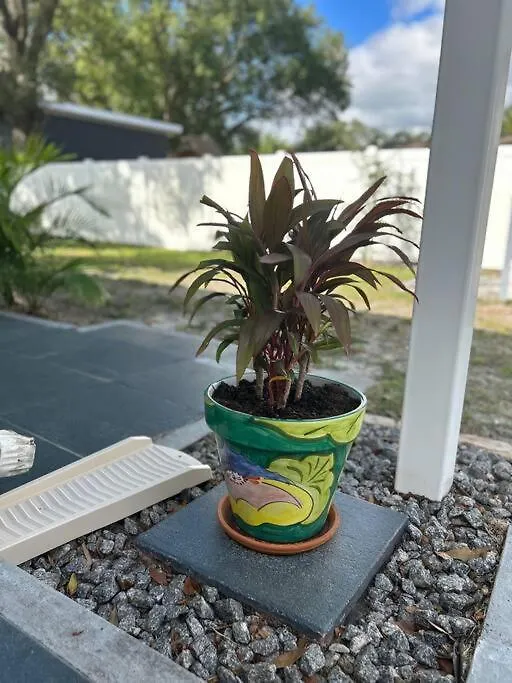 Sunshine /siesta Key/vacation Villa *