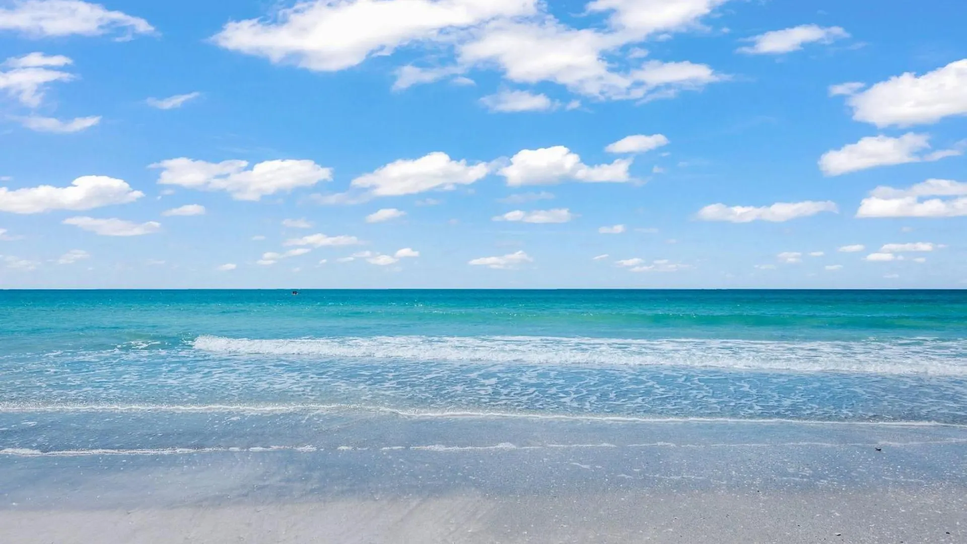 Kingston Arms Modern 1br On Lido Key