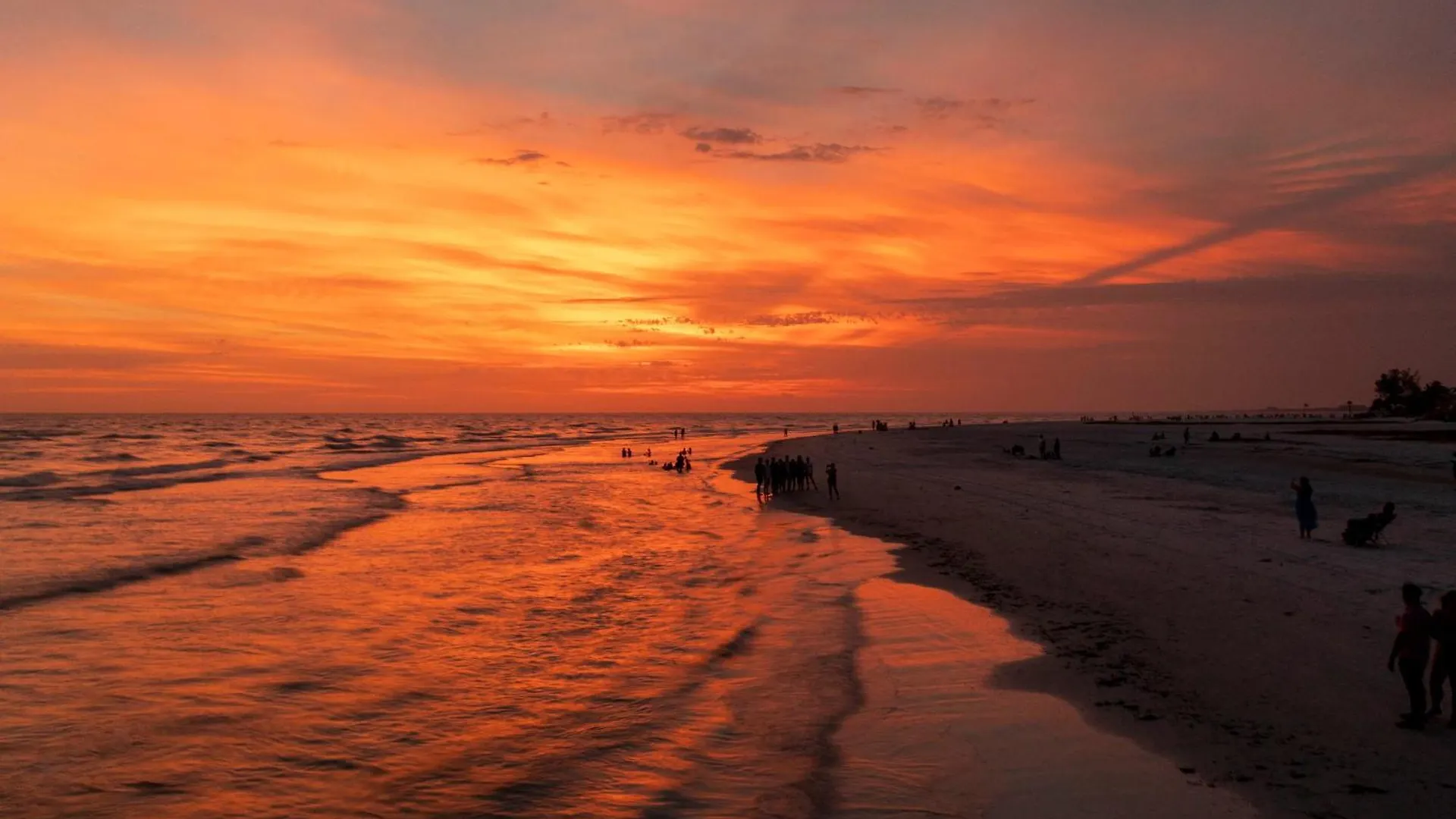Private Patio, Walk To All! 5min- Siesta Keys Beach, 1min- Shopping Dining & Entertainment!