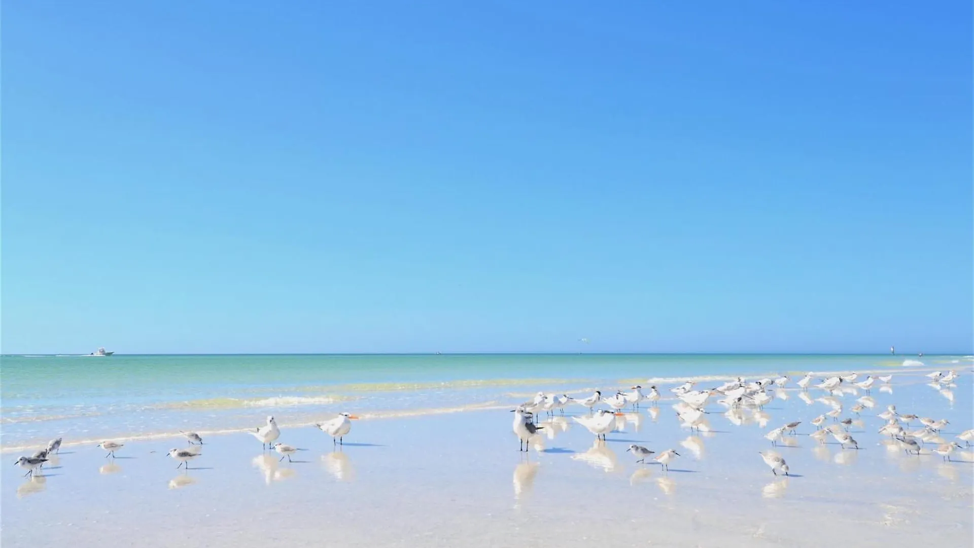 Private Patio, Walk To All! 5min- Siesta Keys Beach, 1min- Shopping Dining & Entertainment! * Sarasota
