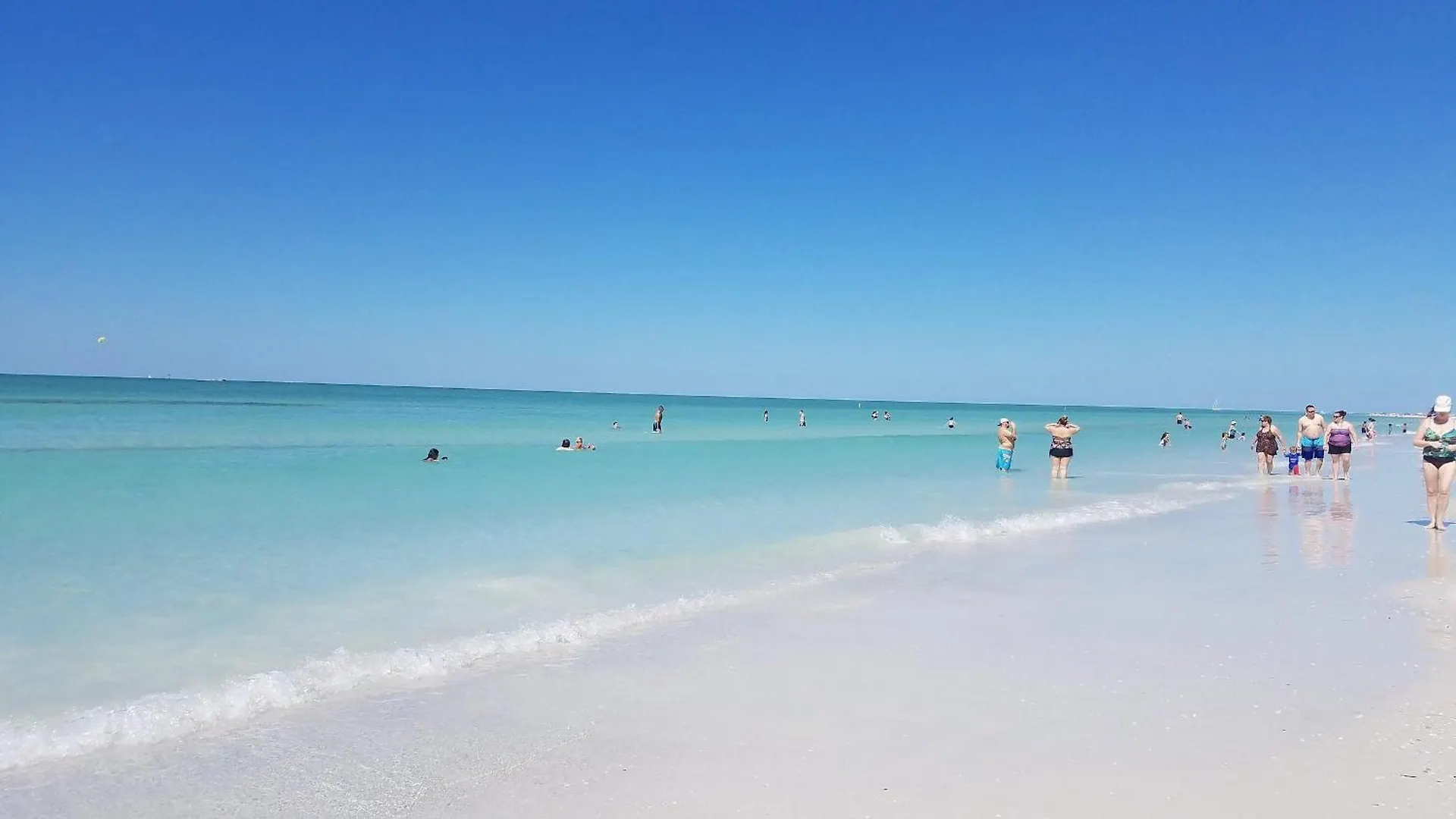 Private Patio, Walk To All! 5min- Siesta Keys Beach, 1min- Shopping Dining & Entertainment! Apartment