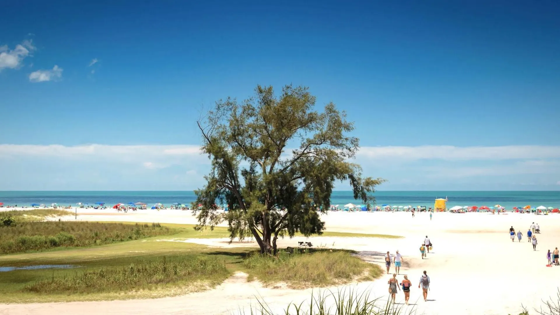 Private Patio, Walk To All! 5min- Siesta Keys Beach, 1min- Shopping Dining & Entertainment! Sarasota
