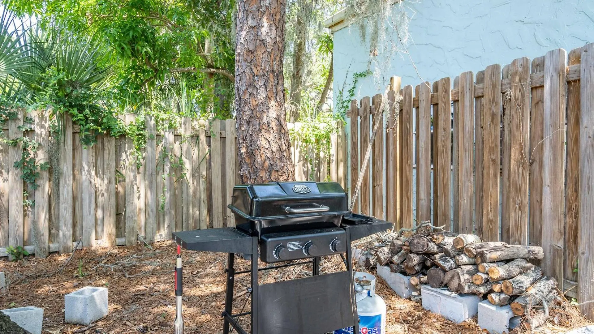 Dreamy Bay 2bed 1bath With Full Kitchen And Laundry Apartment