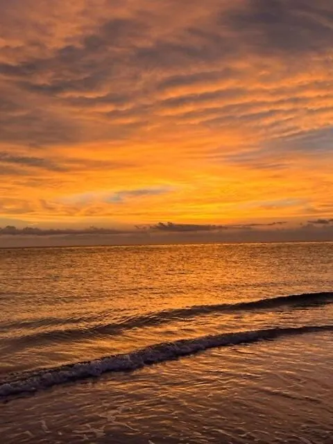 Hiddengem In Charming Sarasota, Florida *