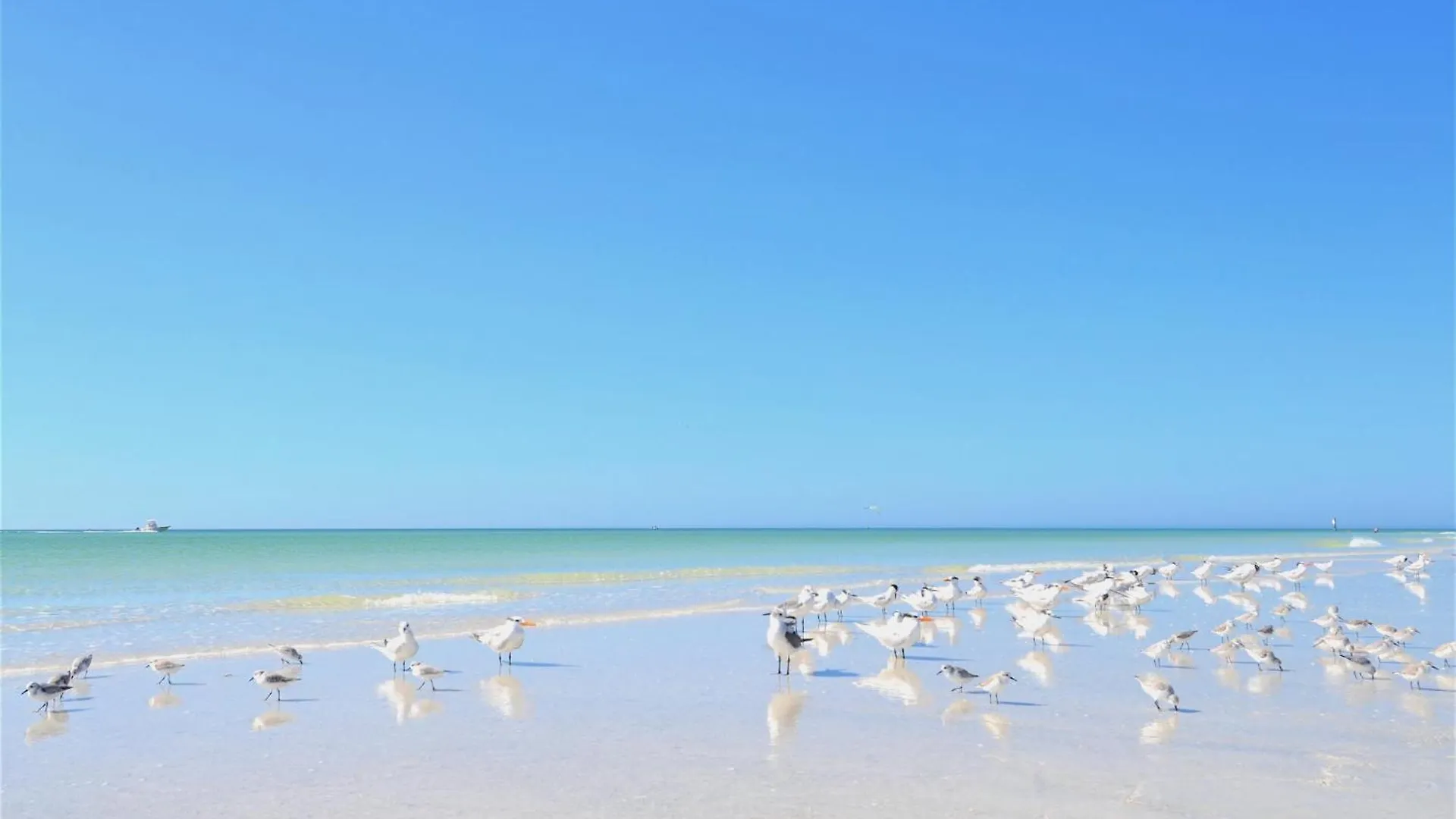 Holiday home 2br- 359pbc Sarasota
