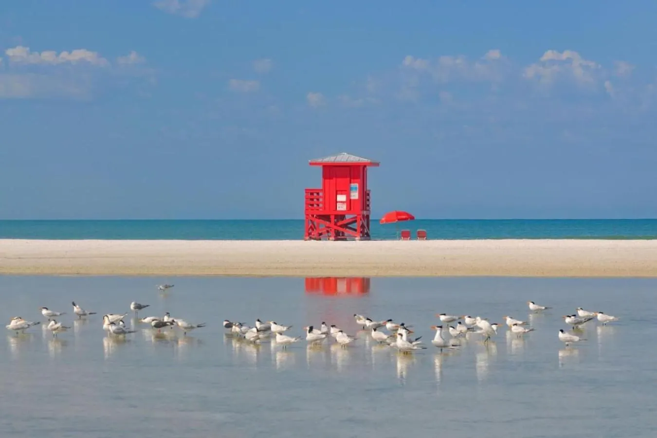 Peaceful Oasis 7 Min To Siesta Key