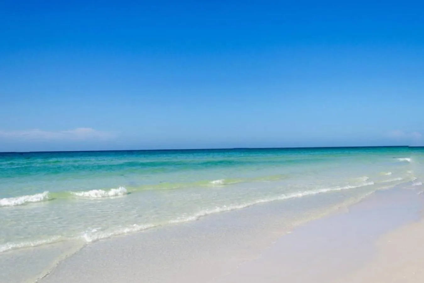Pvt In Shared Near Sarasota