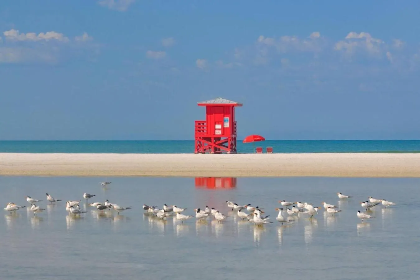 Country house Quiet Walk To Siesta Key Relax Or Work *