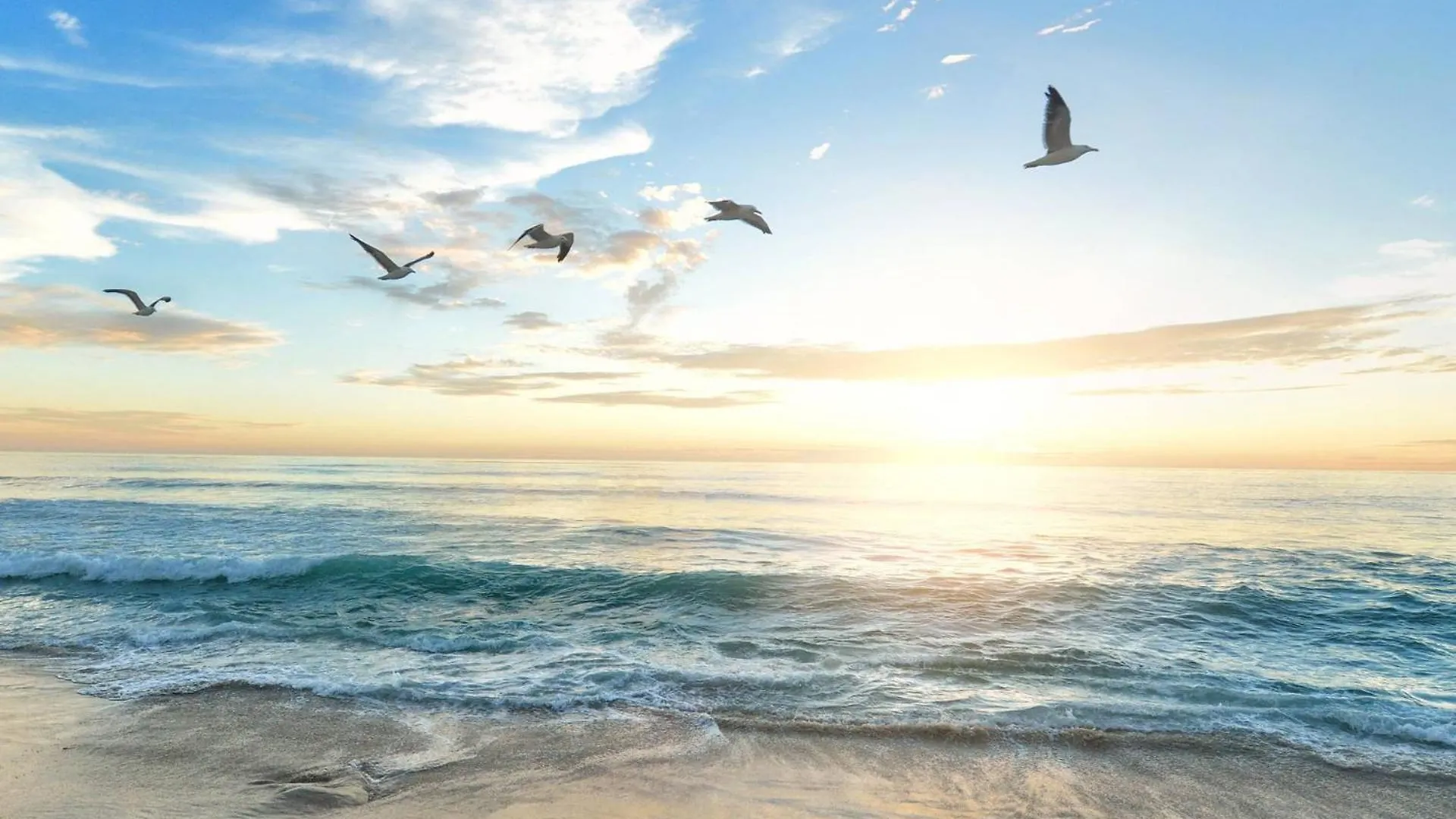 Crystal Sands & Dreams Holiday home Sarasota